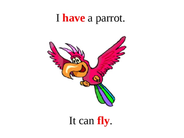 I have a parrot. It can fly .