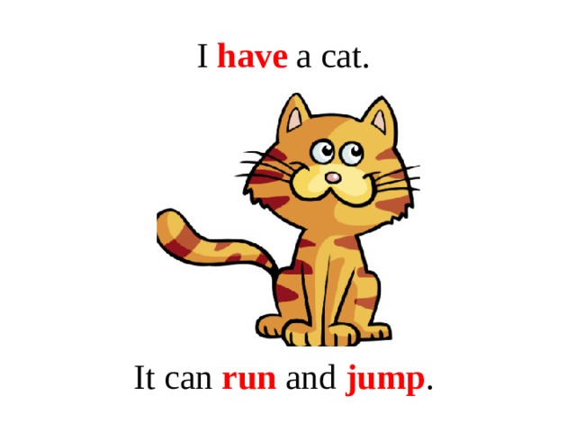 I have a cat. It can run and jump .