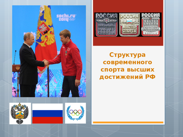 Структура современного спорта высших достижений РФ