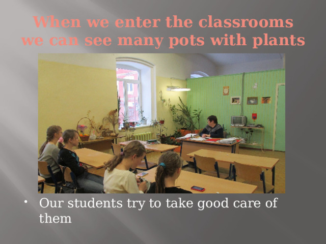 When we enter the classrooms we can see many pots with plants