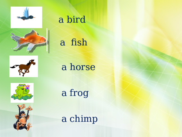 a bird  a fish  a horse  a frog  a chimp