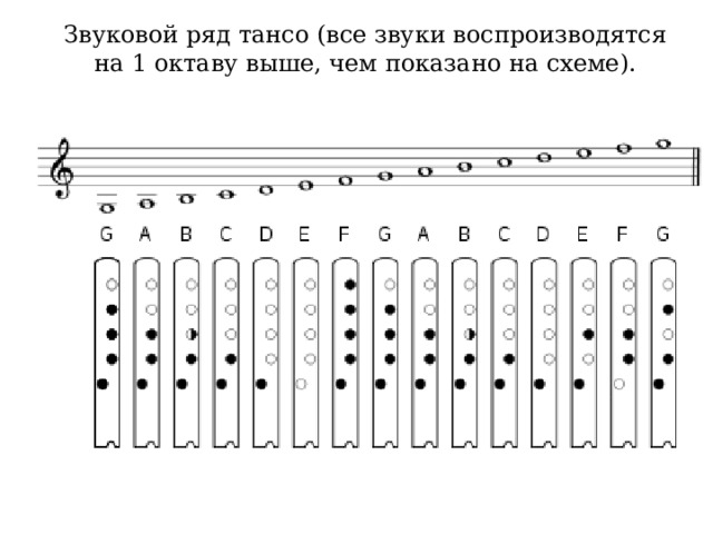 Звуковой ряд тансо (все звуки воспроизводятся на 1 октаву выше, чем показано на схеме).