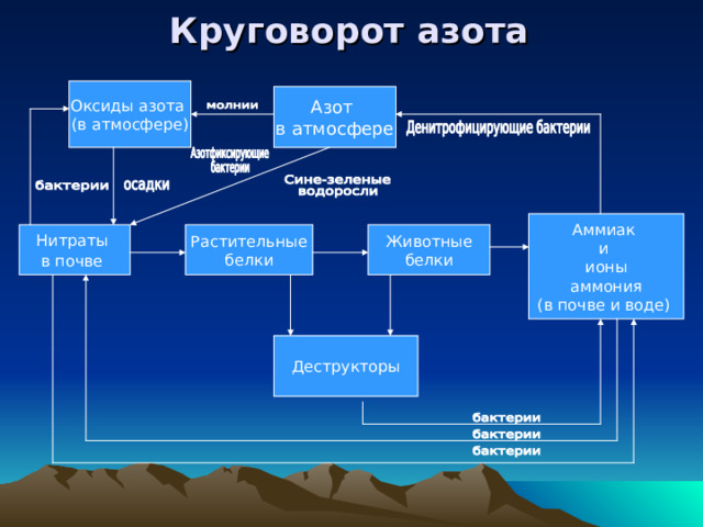 Круговорот азота Оксиды азота (в атмосфере) Азот в атмосфере Аммиак и ионы  аммония (в почве и воде) Нитраты в почве  Растительные белки Животные белки Деструкторы