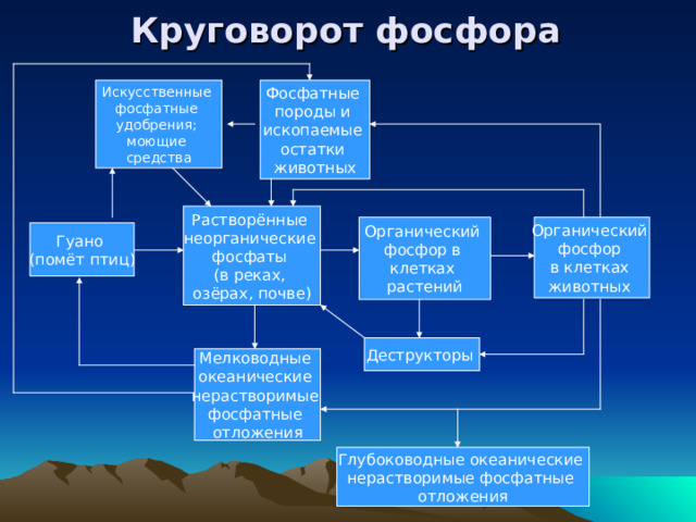 Круговорот фосфора Фосфатные породы и ископаемые остатки животных Искусственные фосфатные удобрения; моющие средства Растворённые неорганические фосфаты (в реках, озёрах, почве) Органический фосфор в клетках растений Органический фосфор в клетках животных Гуано (помёт птиц) Деструкторы Мелководные океанические нерастворимые фосфатные отложения Глубоководные океанические нерастворимые фосфатные отложения