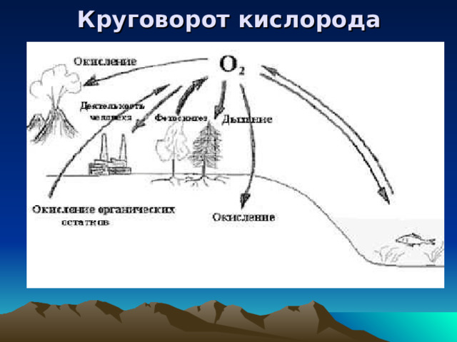 Круговорот кислорода