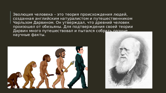 Эволюция человека – это теория происхождения людей, созданная английским натуралистом и путешественником Чарльзом Дарвином. Он утверждал, что древний человек произошел от обезьяны. Для подтверждения своей теории Дарвин много путешествовал и пытался собрать разные научные факты.