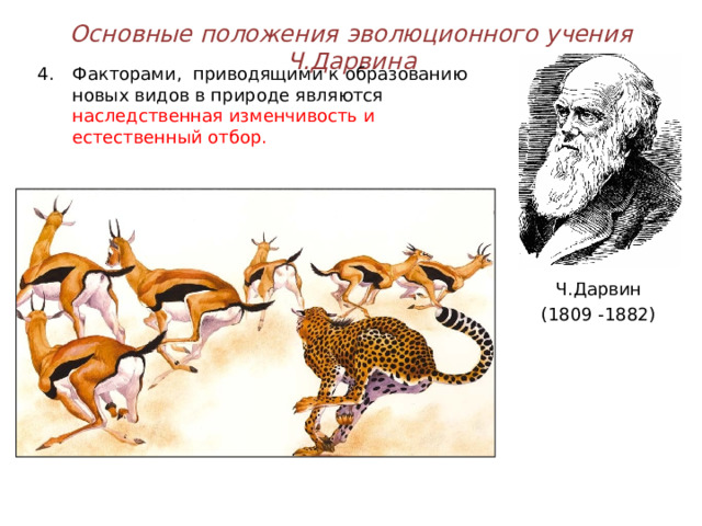 Основные положения эволюционного учения Ч.Дарвина