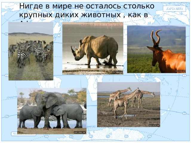 Нигде в мире не осталось столько крупных диких животных , как в Африке Евразия .