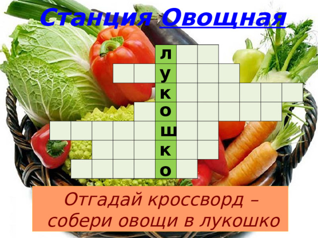 Станция Овощная л                                                                                                                                   у к о ш к о Отгадай кроссворд –  собери овощи в лукошко