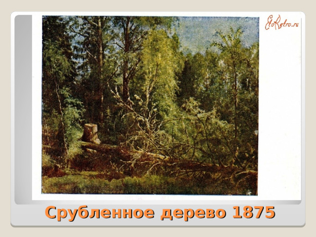 Срубленное дерево 1875