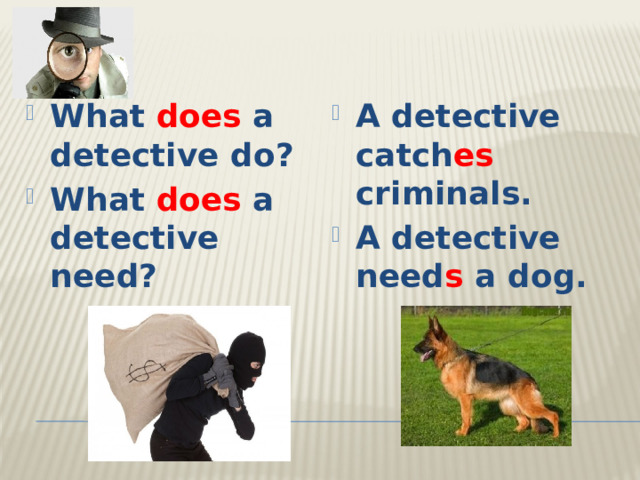 What does a detective do? What does a detective need? A detective catch es criminals. A detective need s a dog.
