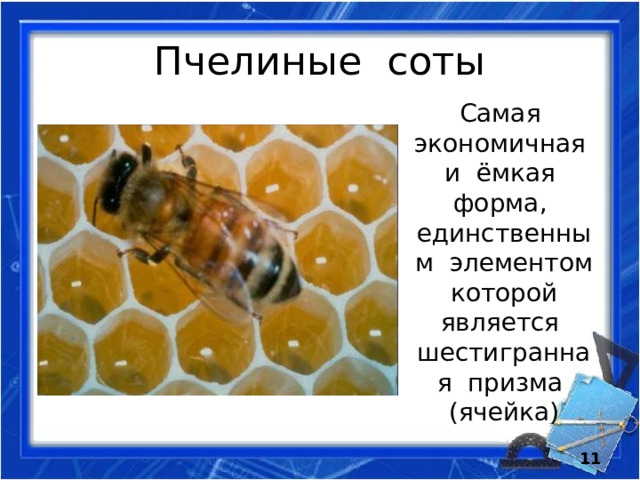 Пчелиные соты Самая экономичная и ёмкая форма, единственным элементом которой является шестигранная призма (ячейка) 6