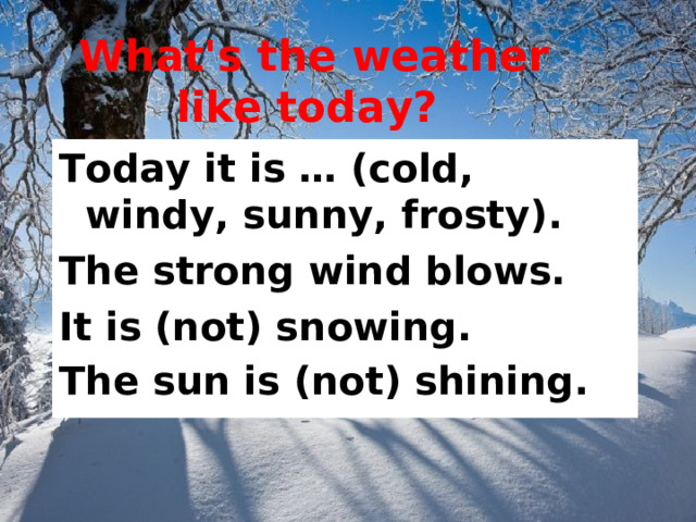 What's the weather like today?  Today it is … (cold, windy , sunny , frosty). The strong wind blows. It is (not) snowing. The sun is (not) shining.