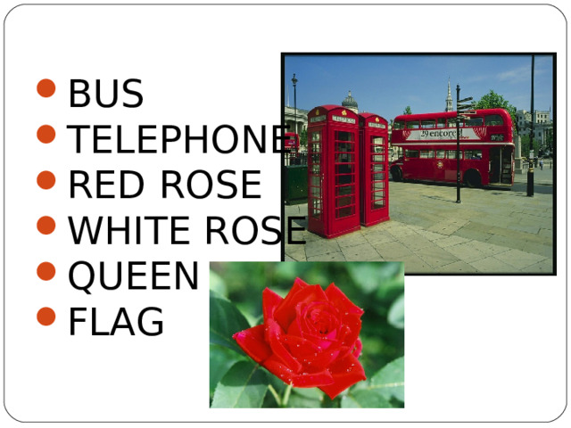 BUS TELEPHONE RED ROSE WHITE ROSE QUEEN FLAG