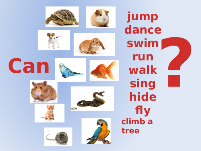 jump dance swim run walk sing hide fly climb a tree ? Can