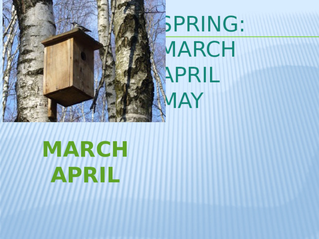 SPRING:   MARCH  APRIL  MAY MARCH APRIL