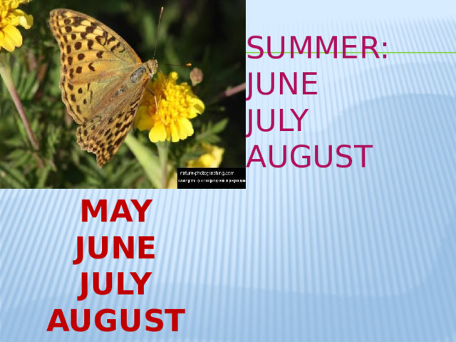 SUMMER:  JUNE  JULY  AUGUST MAY JUNE JULY AUGUST