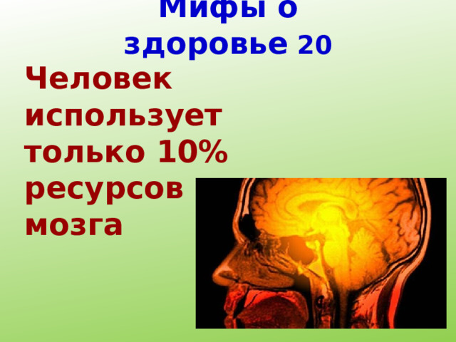 Мифы о здоровье 20 Человек использует только 10% ресурсов своего мозга