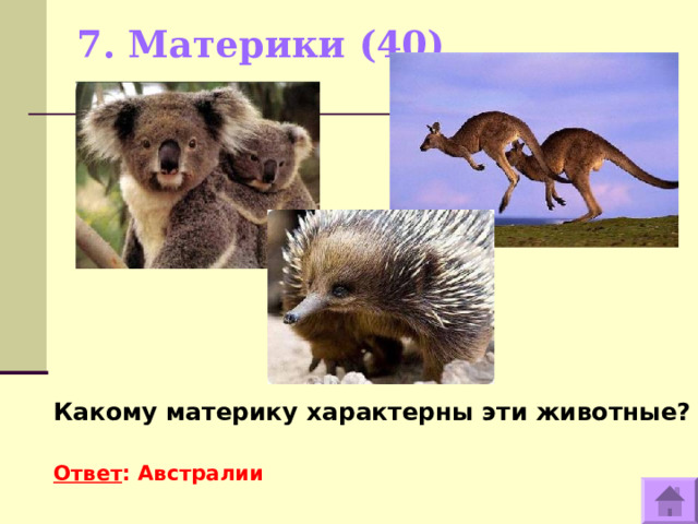 7. Материки (40)     Какому материку характерны эти животные?  Ответ : Австралии