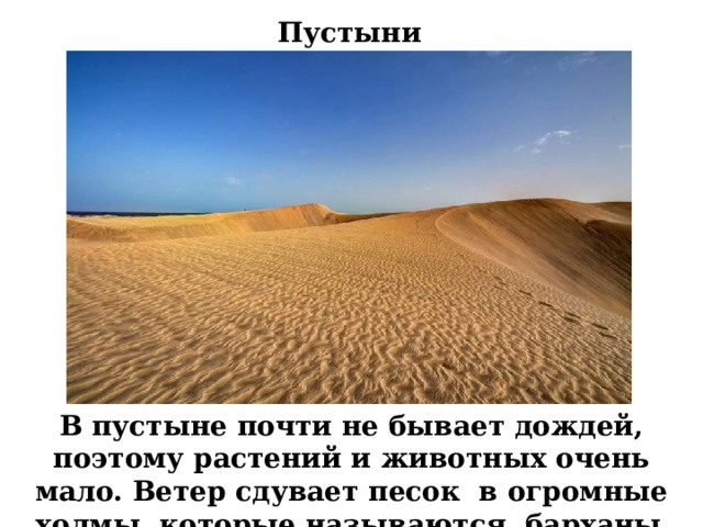 Пустыни В пустыне почти не бывает дождей, поэтому растений и животных очень мало. Ветер сдувает песок в огромные холмы, которые называются барханы .
