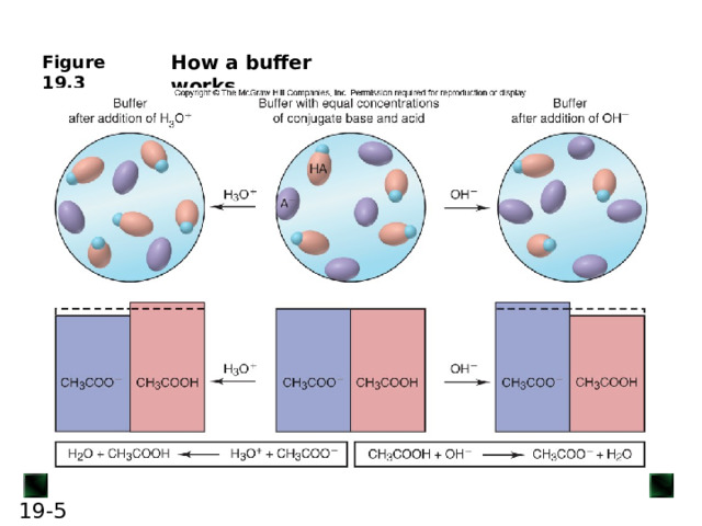 How a buffer works 2