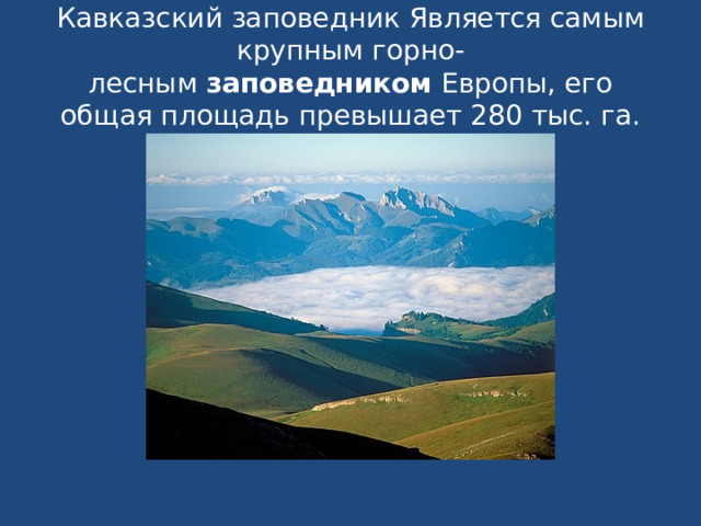 Кавказский заповедник Является самым крупным горно-лесным  заповедником  Европы, его общая площадь превышает 280 тыс. га.