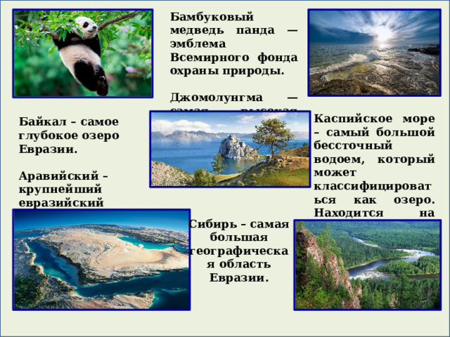 Бамбуковый медведь панда — эмблема Всемирного фонда охраны природы.  Джомолунгма — самая высокая гора в Евразии. Каспийское море – самый большой бессточный водоем, который может классифицироваться как озеро. Находится на стыке Европы и Азии. Байкал – самое глубокое озеро Евразии.  Аравийский – крупнейший евразийский полуостров. Сибирь – самая большая географическая область Евразии.