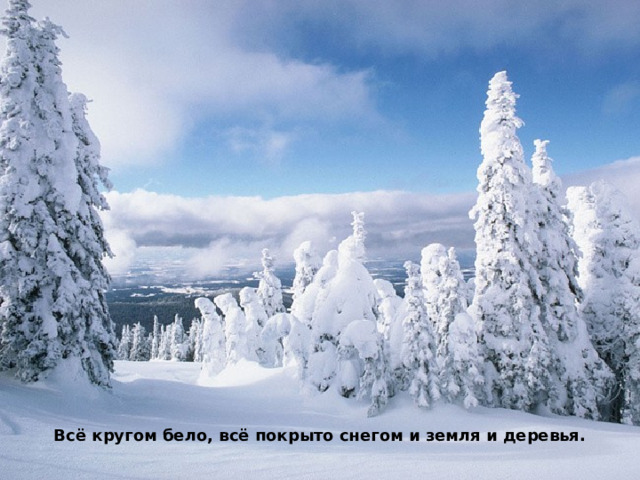 Всё кругом бело, всё покрыто снегом и земля и деревья.