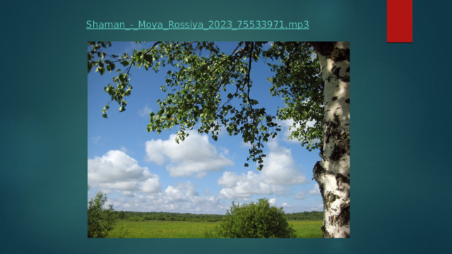 Shaman_-_Moya_Rossiya_2023_75533971.mp3