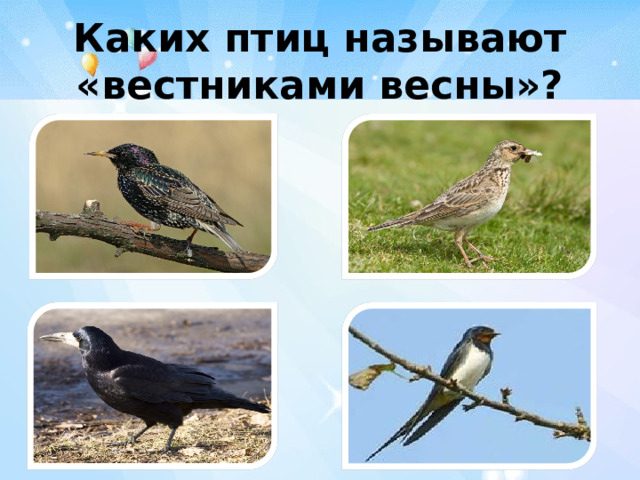 Каких птиц называют «вестниками весны»?
