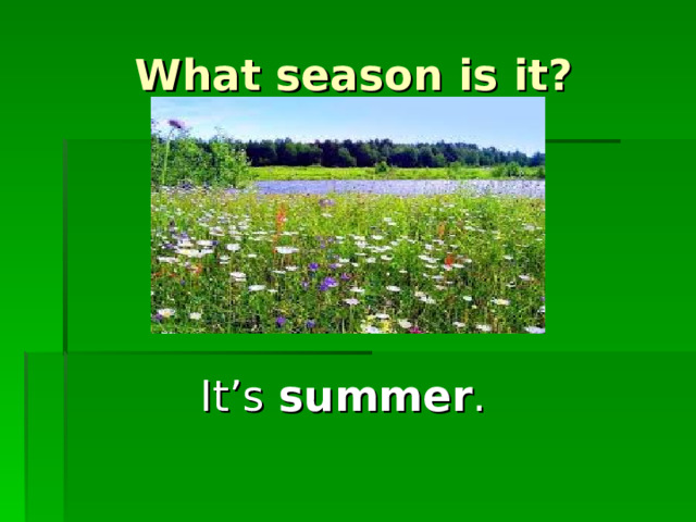What season is it? It’s summer .