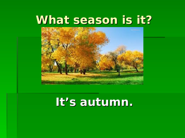 What season is it? It’s autumn.
