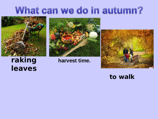raking leaves harvest time.  to walk