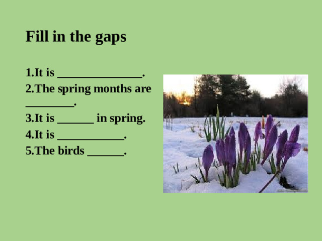 Fill in the gaps 1.It is ______________. 2.The spring months are ________. 3.It is ______ in spring. 4.It is ___________. 5.The birds ______.
