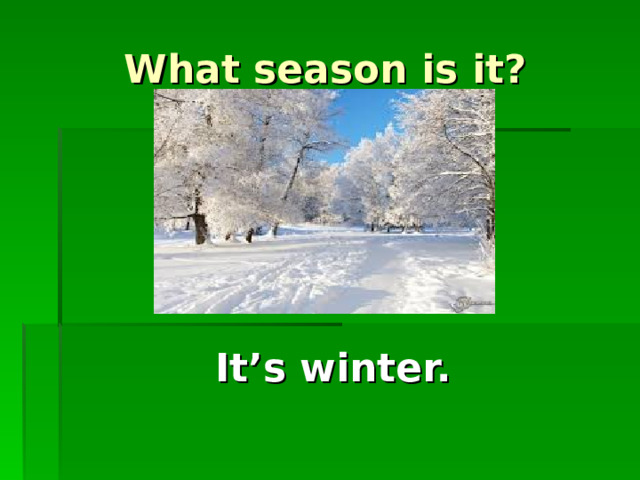 What season is it? It’s winter.