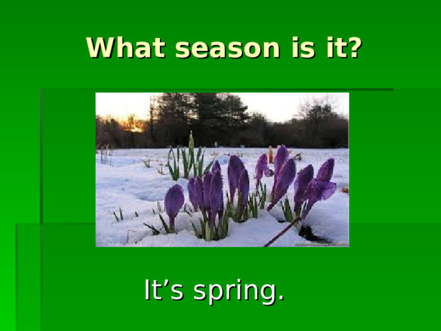 What season is it? It’s spring.