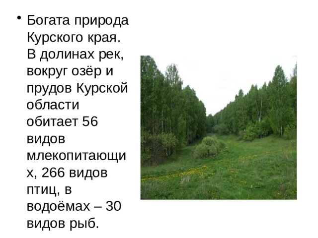Богата природа Курского края. В долинах рек, вокруг озёр и прудов Курской области обитает 56 видов млекопитающих, 266 видов птиц, в водоёмах – 30 видов рыб.