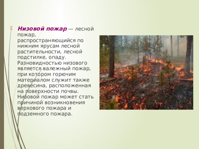 Низовой пожар — лесной пожар, распространяющийся по нижним ярусам лесной растительности, лесной подстилке, опаду. Разновидностью низового является валежный пожар, при котором горючим материалом служит также древесина, расположенная на поверхности почвы. Низовой пожар может стать причиной возникновения верхового пожара и подземного пожара.