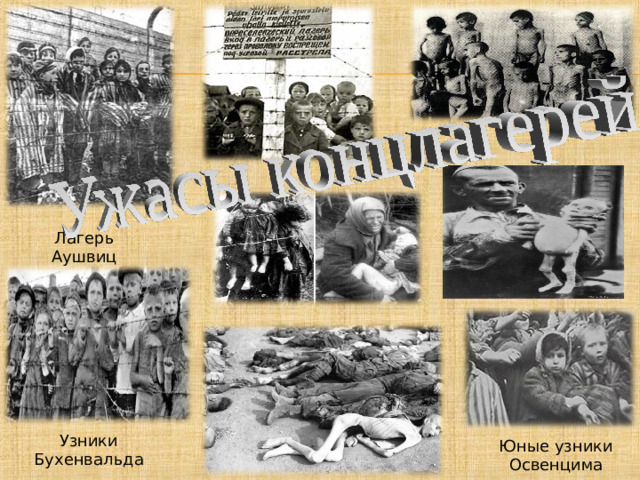 Узники фашизма в Карелии, г.Петрозаводск Лагерь Аушвиц Узники Бухенвальда Юные узники Освенцима
