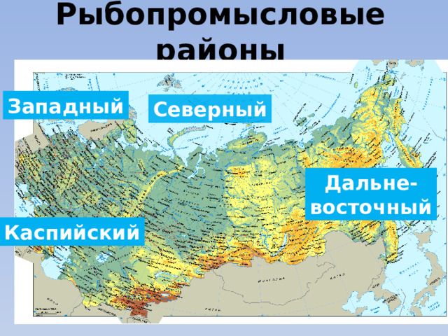 Рыбопромысловые районы Западный Северный Дальне- восточный Каспийский