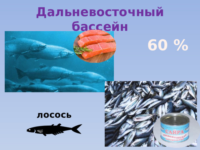 Дальневосточный бассейн 60 %  сайра    лосось