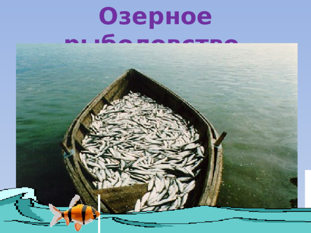 Озерное рыболовство