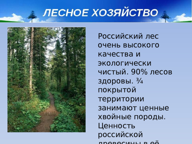 Российский лес очень высокого качества и экологически чистый. 90% лесов здоровы. ¾ покрытой территории занимают ценные хвойные породы. Ценность российской древесины в её качестве и экологической чистоте.