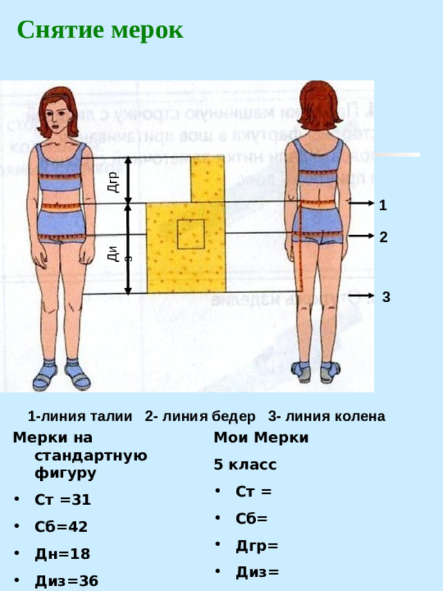 Диз Дгр Снятие мерок   1 2 3 1-линия талии 2- линия бедер 3- линия колена Мерки на стандартную фигуру Мои Мерки 5 класс