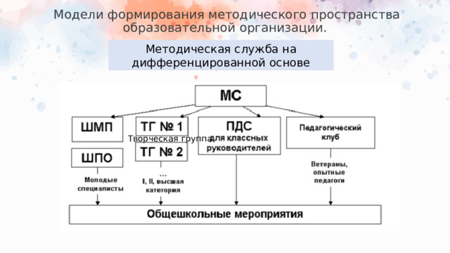 Модели формирования методического пространства образовательной организации.   Методическая служба на дифференцированной основе Творческая группа