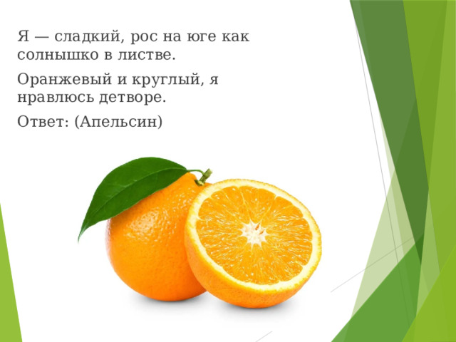 Я — сладкий, рос на юге как солнышко в листве. Оранжевый и круглый, я нравлюсь детворе. Ответ: (Апельсин)