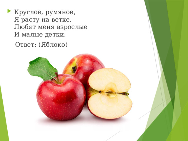 Круглое, румяное,   Я расту на ветке.  Любят меня взрослые  И малые детки.