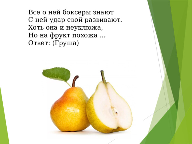 Все о ней боксеры знают  С ней удар свой развивают.  Хоть она и неуклюжа,  Но на фрукт похожа ... Ответ: (Груша)