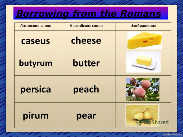 Borrowing from the Romans