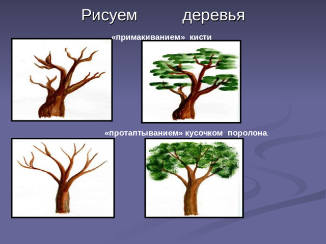 Рисуем деревья «примакиванием» кисти «протаптыванием» кусочком поролона .